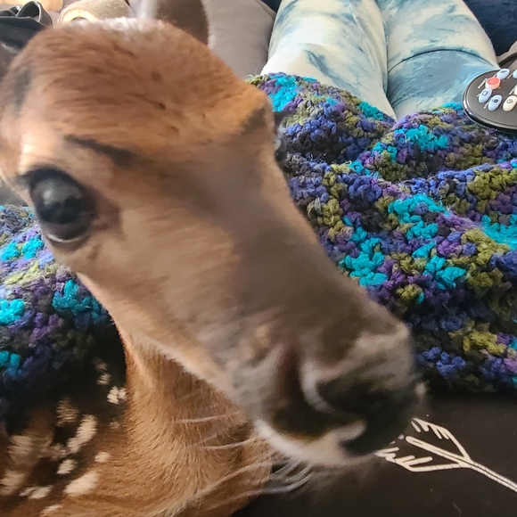 Meet your Posher, Katt - Picture 5 of 6